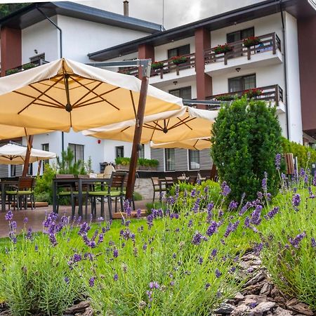 Piatra Pinului Ski & Spa Gura Humorului Exterior foto